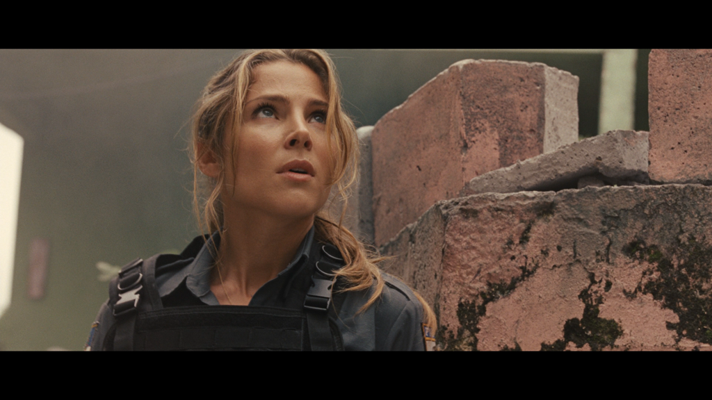 Letztes Einzelbild der Einstellung (Nr. 49399)